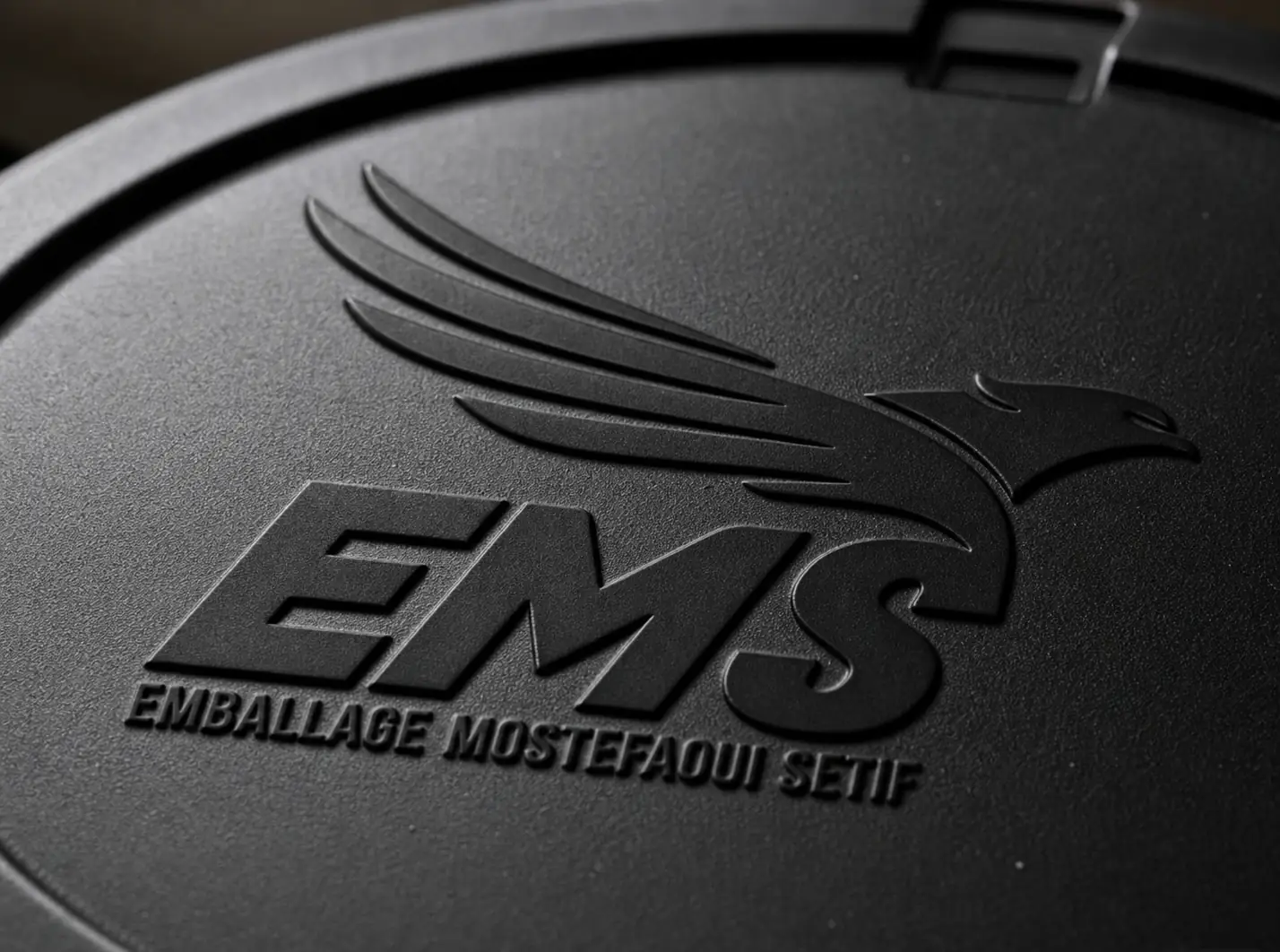 Logo EMS imprimé sur emballage plastique, qualité de marquage professionnelle